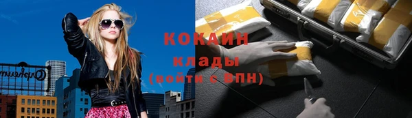 твердый Богородицк