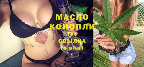 твердый Богородицк
