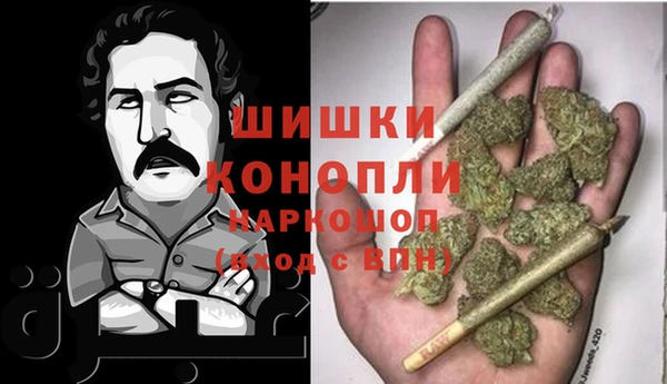 ECSTASY Белокуриха